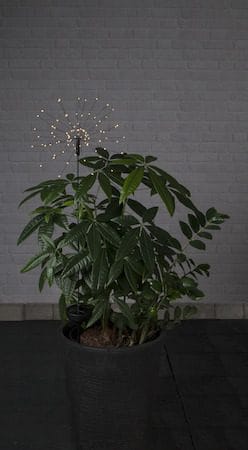 Firework Solar Solcellsdekoration 26 cm - svart - Utemöbler & utemiljö - Trädgårdsdekoration & utemiljö - Trädgårdsbelysning