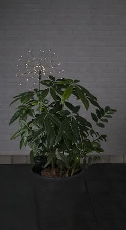 Firework Solar Solcellsdekoration 26 cm, svart