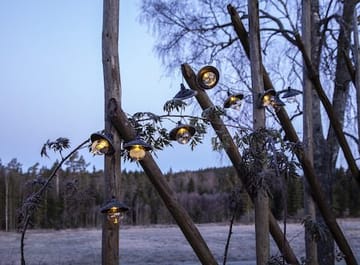 Globe Shade Solcellsslinga 180 cm - svart och transparent - Utemöbler & utemiljö - Trädgårdsdekoration & utemiljö - Trädgårdsbelysning