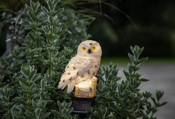 Owl Solcellsdekoration 10x33 cm - beige - Utemöbler & utemiljö - Trädgårdsdekoration & utemiljö - Trädgårdsbelysning