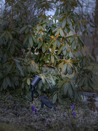 Powerspot SolcellsSpotlight 9 cm - svart - Utemöbler & utemiljö - Trädgårdsdekoration & utemiljö - Trädgårdsbelysning