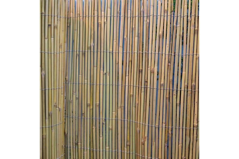 Bambusrottingstaket i trädgården 2x5m - Staket & grind