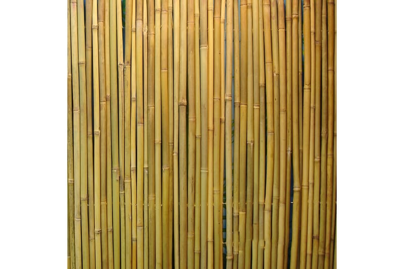 Stansat Bambusstaket I Trädgården 2x3M - Staket & grind