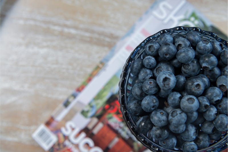 Leicester Runt Sidobord och Avlastningsbord Utomhus 50 cm - Grå - Utemöbler & utemiljö - Utebord & trädgårdsbord - Loungebord & soffbord utomhus