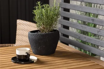 Diego Matgrupp 70 cm + 2 st Malina Karmstolar Brun - Brun - Utemöbler & utemiljö - Utegrupp - Matgrupp utomhus