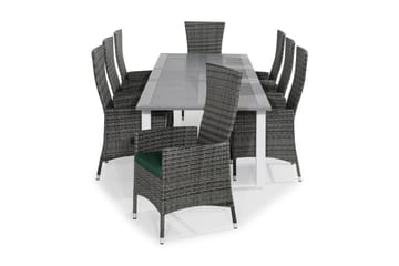 Matgrupp Utomhus Monaco 220-280x100 + 8 Jenny Fåtölj Ställbar m Dyna