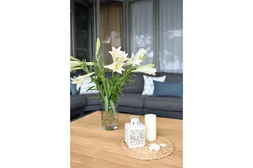 Utomhusmöbelgrupp Lifestyle Garden PALAU 2-sits höger & vänster + hörnsoffa stol + sidostol + soffbord 140 cm - Utemöbler & utemiljö - Utegrupp - Soffgrupp utomhus