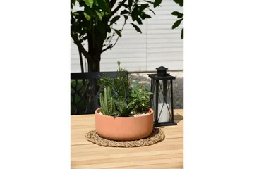 Utomhusmöbelgrupp Lifestyle Garden Portals 209 cm 5 trädskärarstolar + bänk - 5 trädskärarstolar + bänk - Utemöbler & utemiljö - Utegrupp - Matgrupp utomhus