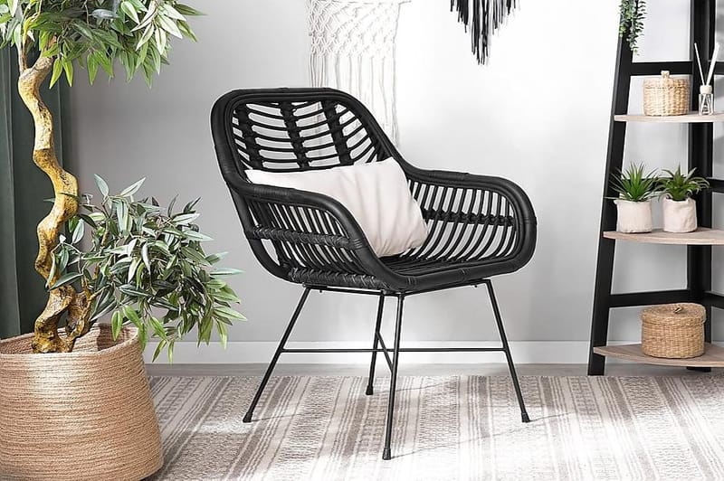 Canora Trädgårdsstol 51 cm - Svart - Utemöbler & utemiljö - Utestol & trädgårdsstol - Matstol & karmstol utomhus