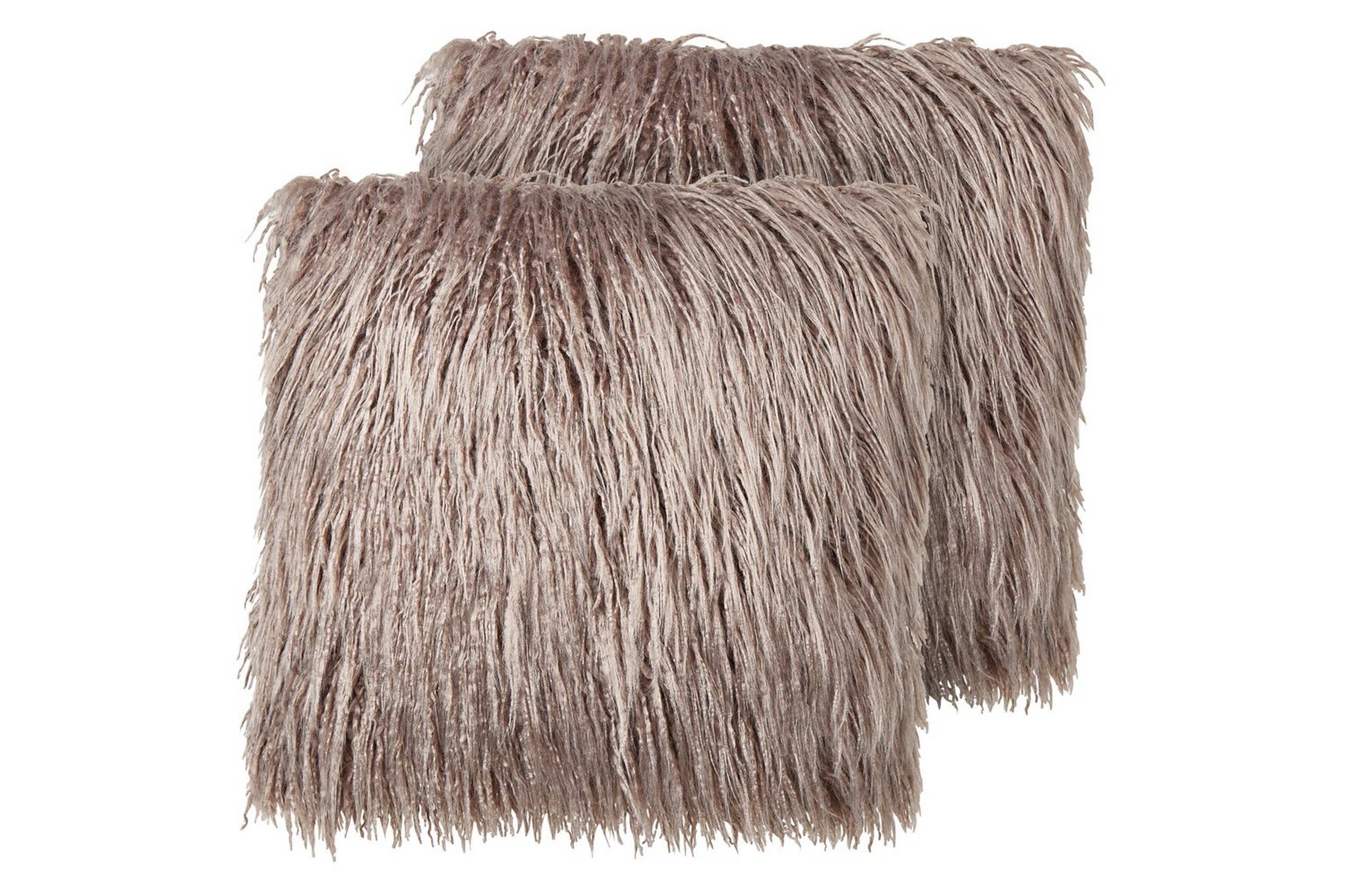 Prydnadskuddar Corokia set om 2 Beige Beige