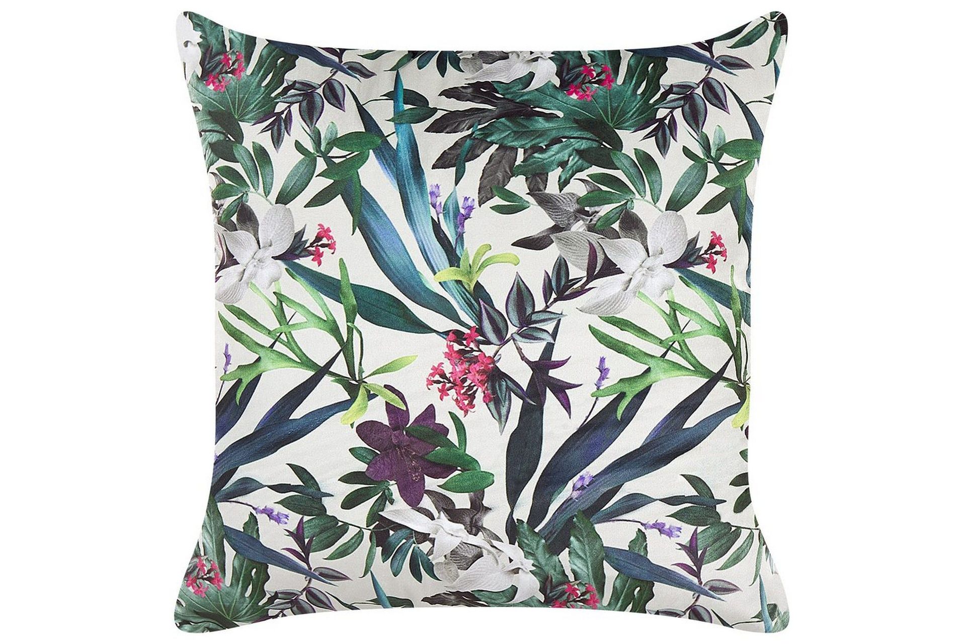 Prydnadskuddar Gasteria -