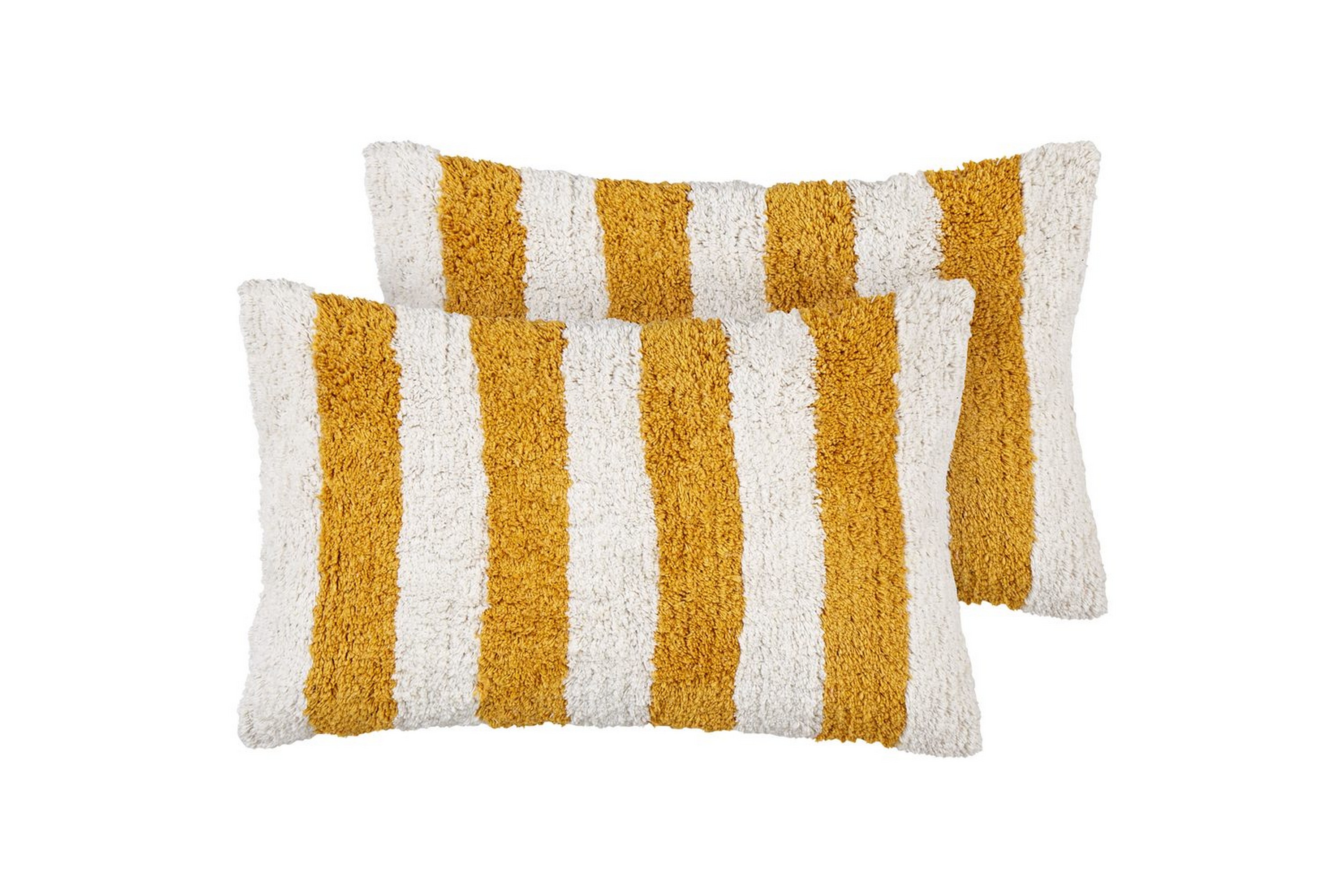 Prydnadskuddar Helianthus set om 2