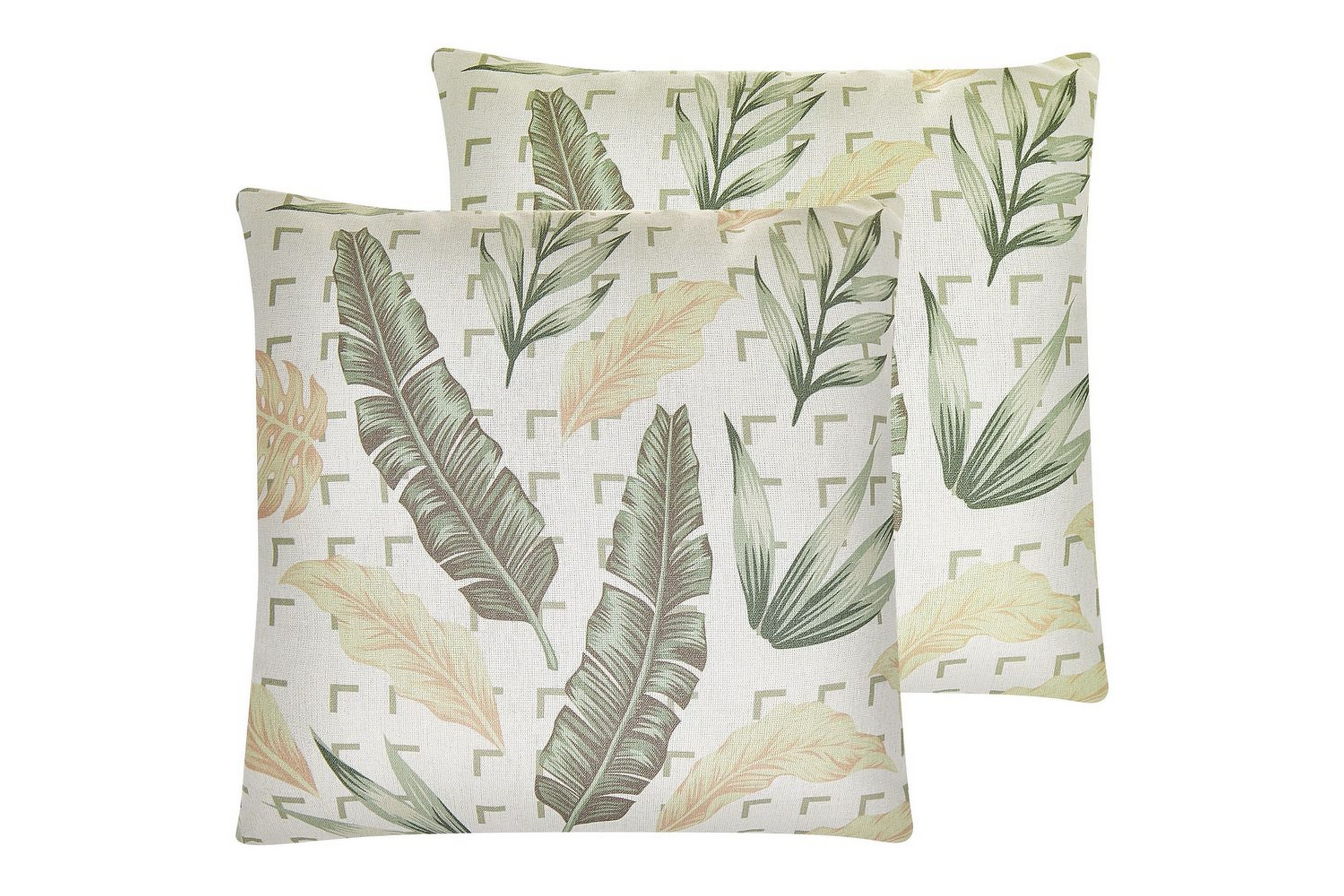 Prydnadskuddar Rhapis set om 2