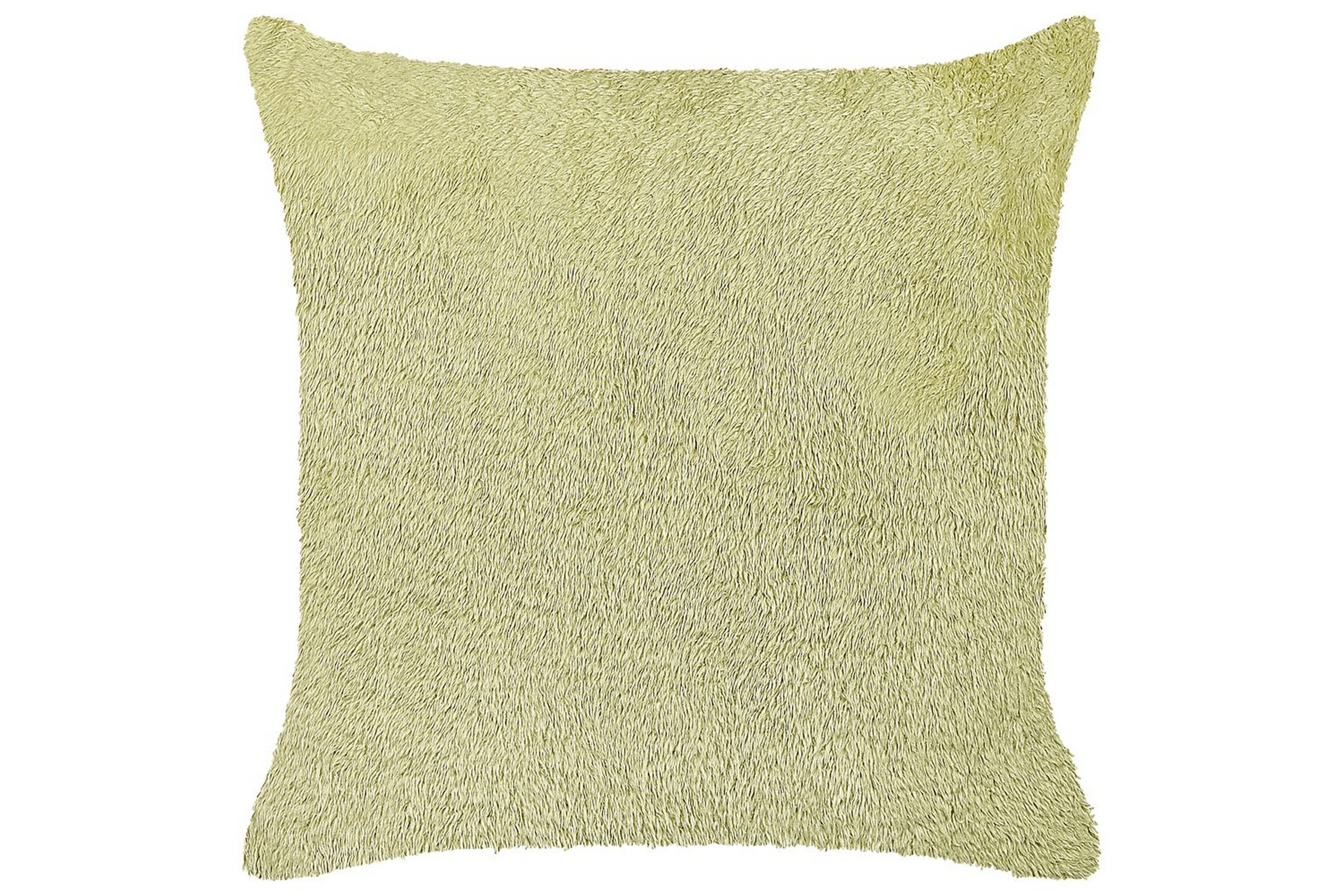 Prydnadskuddar Pilea Grön Grön