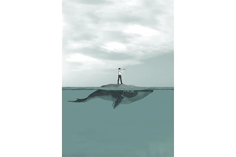 Illustration poster